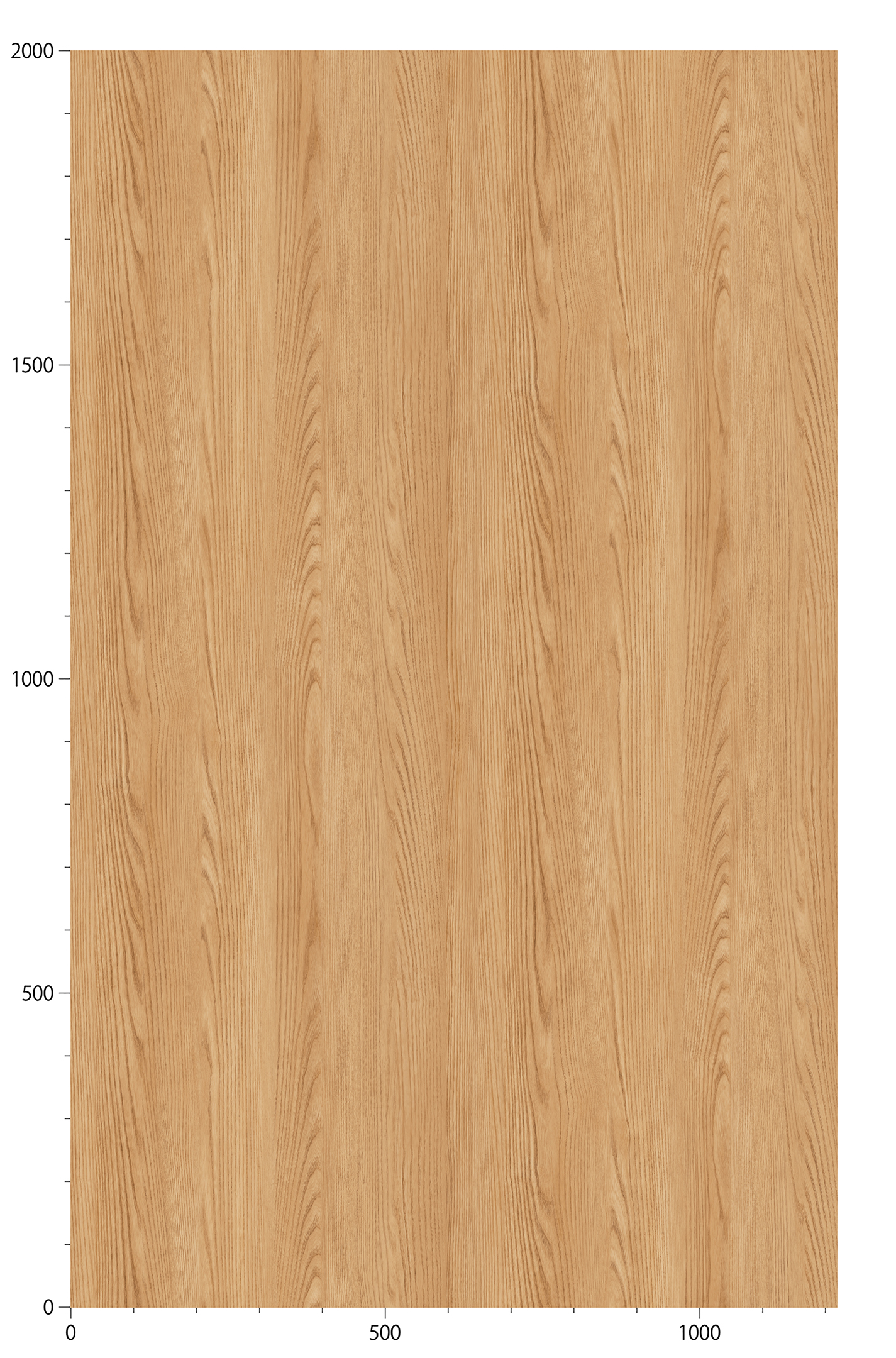 RW5393_20240118B01.jpg