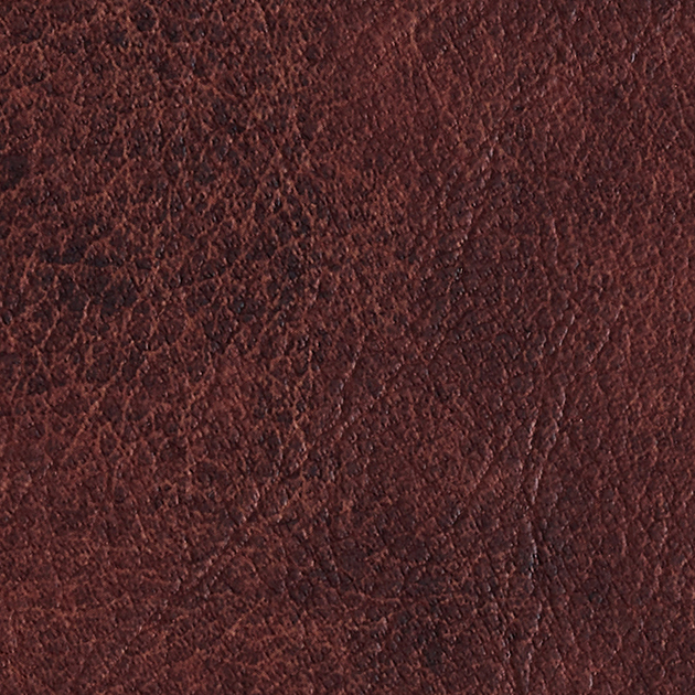 TN5689_20240118C01.jpg
