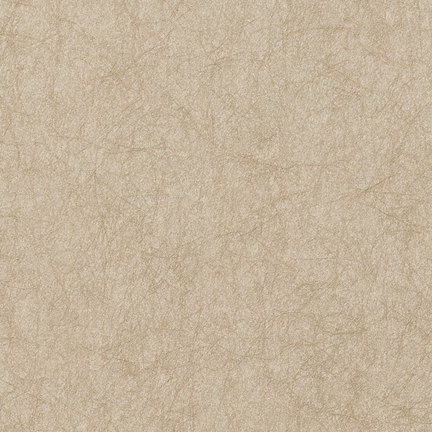 SGM1060_20250828C01.jpg